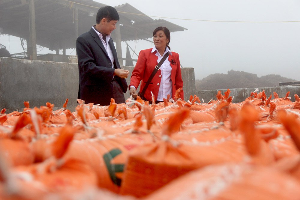 mai cu dong gieng cap vo chong kiem deu tien ty