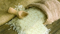cpi thang 5 vot tang do gia xang dau