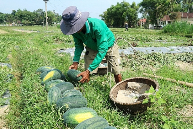 Sự kiện kinh tế trong nước đáng chú ý ngày 2/5/2018 su kien kinh te trong nuoc dang chu y ngay 252018