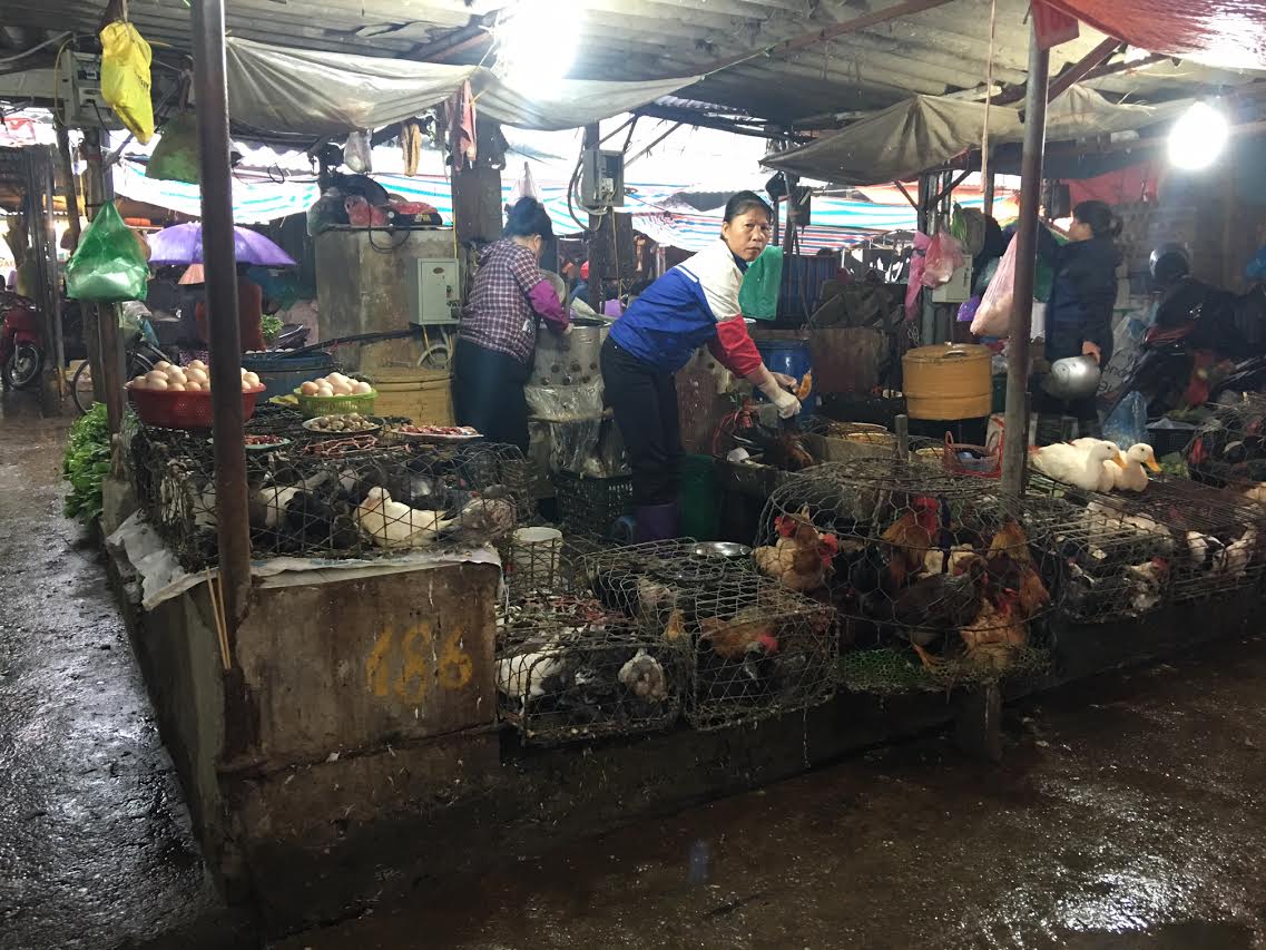 canh giet mo ga tai cho ba noi tro hay 1 lan nhin lai