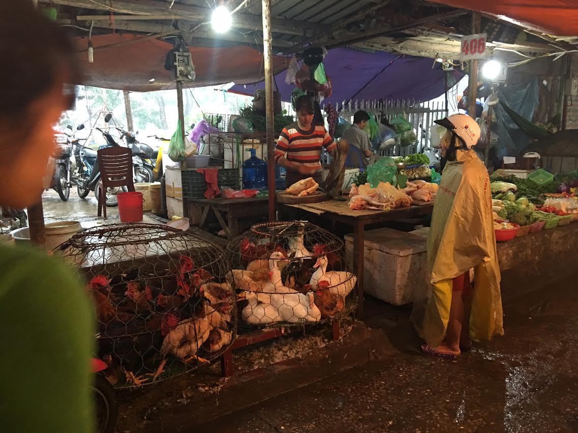 canh giet mo ga tai cho ba noi tro hay 1 lan nhin lai