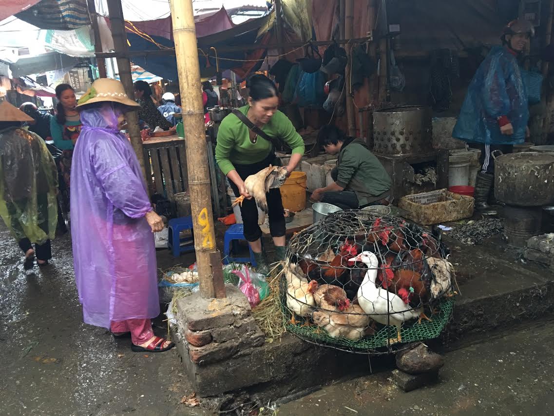 canh giet mo ga tai cho ba noi tro hay 1 lan nhin lai