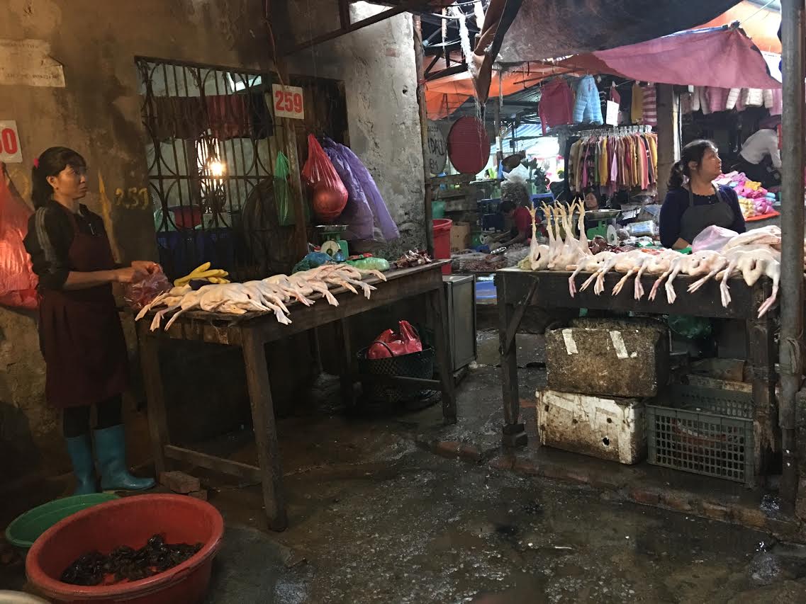 canh giet mo ga tai cho ba noi tro hay 1 lan nhin lai
