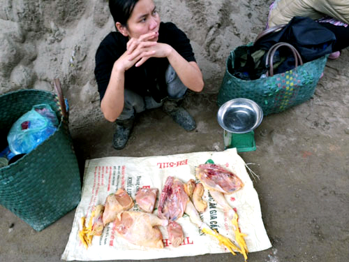 canh giet mo ga tai cho ba noi tro hay 1 lan nhin lai