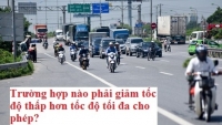 su dung ma tuy khi lai xe bi xu ly nhu the nao