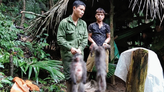thanh hoa gia tieng ga trong bui cay nam thanh nien bi ban chet