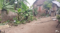 vi 80 trieu vo chong lap muu ban chau ruot sang trung quoc