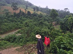 Kinh thiên vụ án đồng rừng và chiếc lồng gà đón sóng