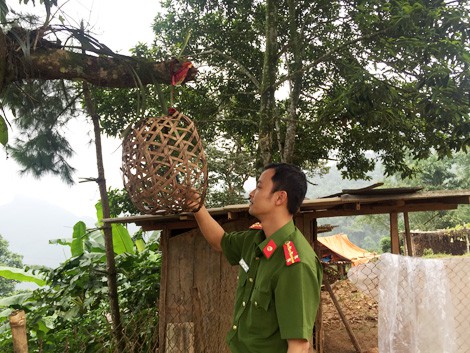 kinh thien vu an dong rung va chiec long ga don song