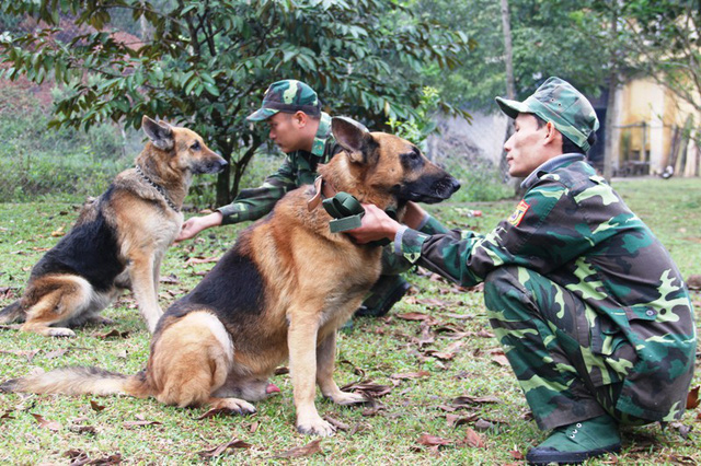 nhung chien binh dac biet cua luc luong bien phong