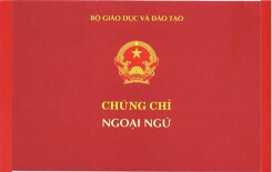 Bắt Giám đốc cung cấp hàng trăm chứng chỉ ngoại ngữ giả