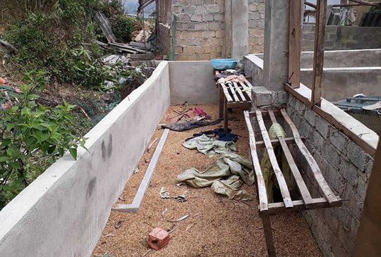 cong an dien bien noi ve thong tin cham khoi to toi hiep dam vu co gai di giao ga chieu 30 tet