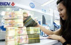 10.000 tỷ đồng cho vay sản xuất nông nghiệp với lãi suất hấp dẫn