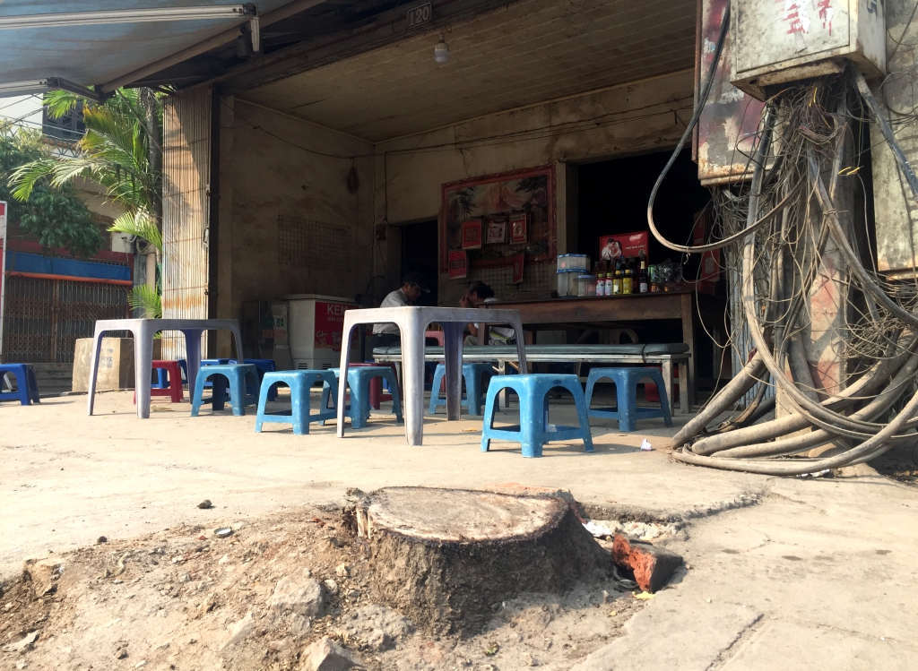 phat hien them nhieu cay xanh o ha noi bi chat ha khi don dep via he