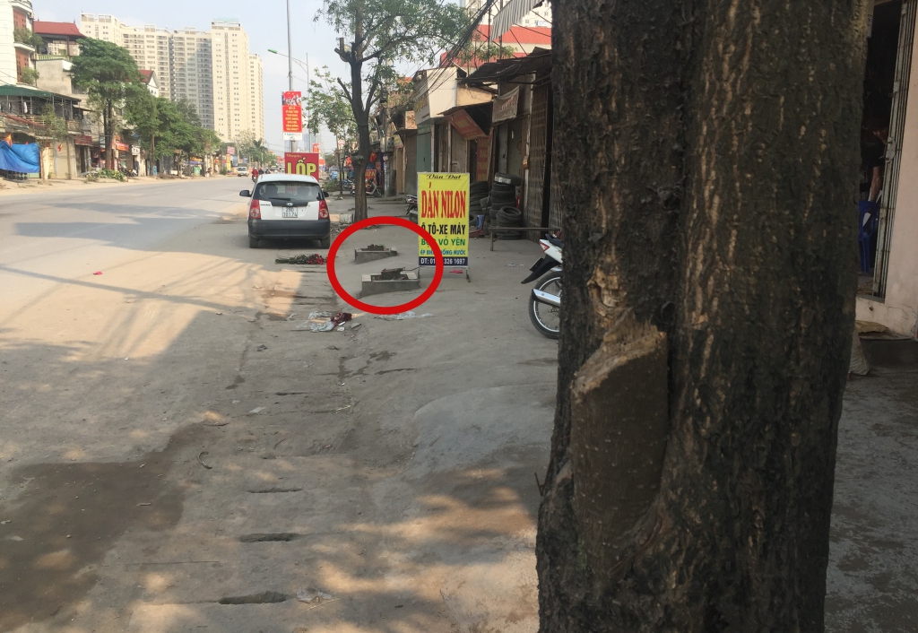 phat hien them nhieu cay xanh o ha noi bi chat ha khi don dep via he