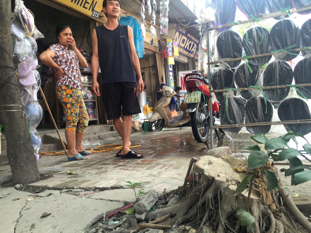 phat hien them nhieu cay xanh o ha noi bi chat ha khi don dep via he
