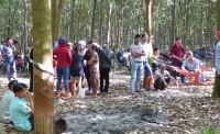 nghi pham sat hai be gai 4 tuoi tung duoc gia dinh nan nhan cuu mang
