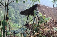 thieu nu mang bau chong bi khoi to vi lam vo co bau