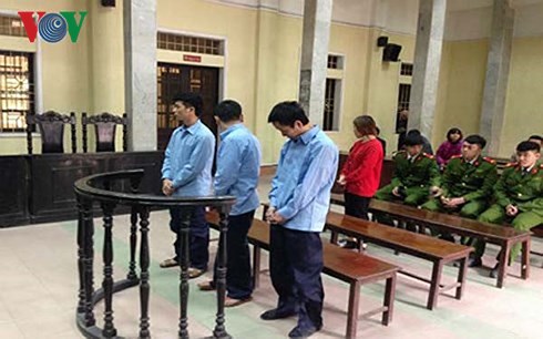 ong trum buon dong vat hoang da duoi vo boc chu co so bao ton ho
