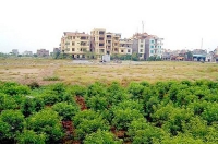 tai xe ngu gat huc vang hon 10m dai phan cach