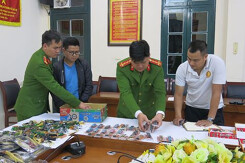 Lần tung tích 