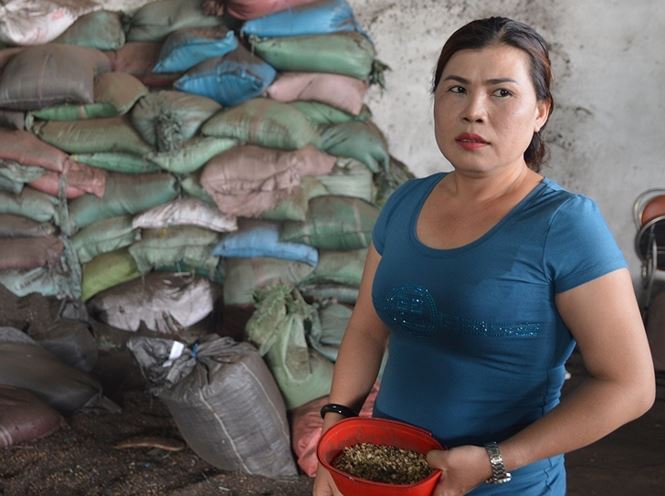 khoi to vu nhuom phe pham ca phe bang pin con o
