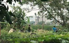 Bắt nghi phạm vụ thi thể nam giới trong bao tải vứt ven đường ở Hà Nội