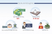 quang ninh bi thu tinh chi dao tam dung giao dich dat dai tai van don