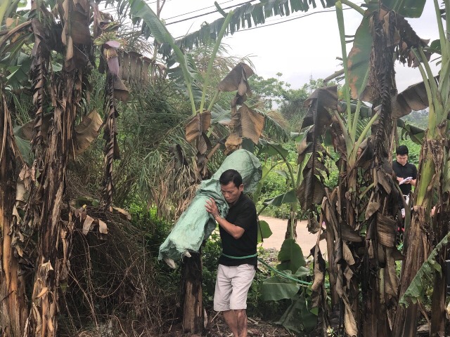 he lo nhieu tinh tiet moi trong vu sat hai nam sinh phi tang xac o my dinh