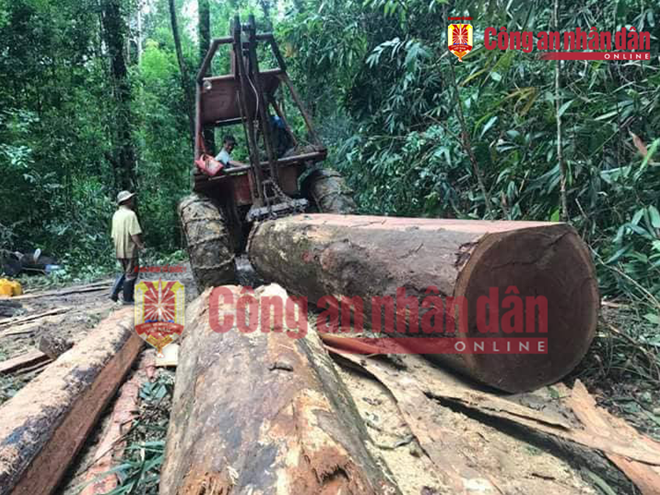 nhung hinh anh to trum buon lau go phuong rau