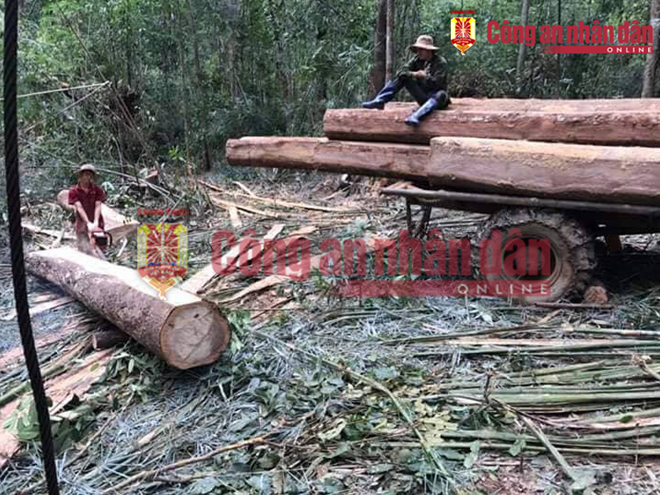 nhung hinh anh to trum buon lau go phuong rau