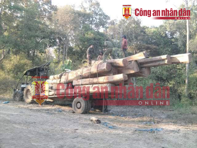 nhung hinh anh to trum buon lau go phuong rau