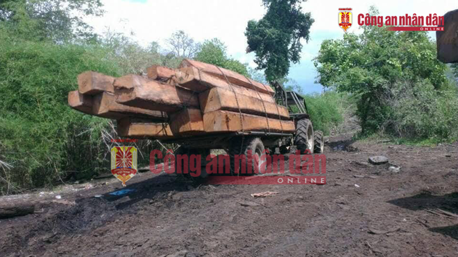 nhung hinh anh to trum buon lau go phuong rau