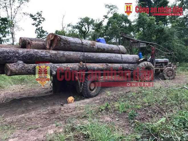nhung hinh anh to trum buon lau go phuong rau
