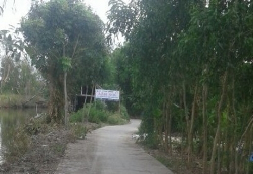 chong dung sung giet vo roi tu sat bi kich cua mot gia dinh do vo