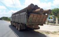 vu trum go lau phuong rau dinh chi 4 can bo don bien phong