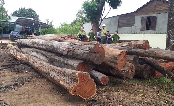 vu trum go lau phuong rau tiet lo soc tu cuc kiem lam