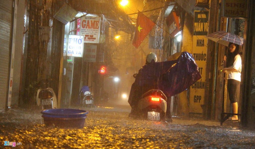 tieu thuong tro tay khong kip khi mua lon trut xuong ha noi