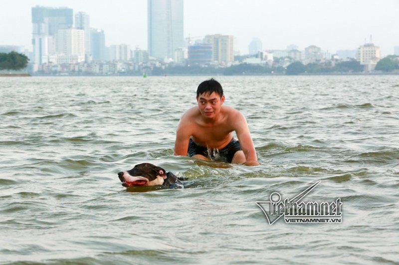 Nam thanh nữ tú và chó cưng ở 'bể bơi' lớn nhất Hà Nội nam thanh nu tu va cho cung o be boi lon nhat ha noi