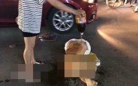 vu danh ghen cat phang toc mai o quang ninh co gai van lien lac du da duoc gia dinh nguoi dan ong nhac nho