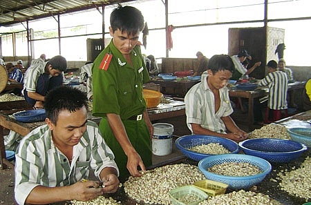 chuyen mot so hinh phat tu hinh da tuyen sang tu chung than