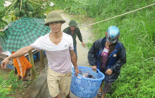 thuy dien hoa binh xa lu hon 200 tan ca long chet ngat