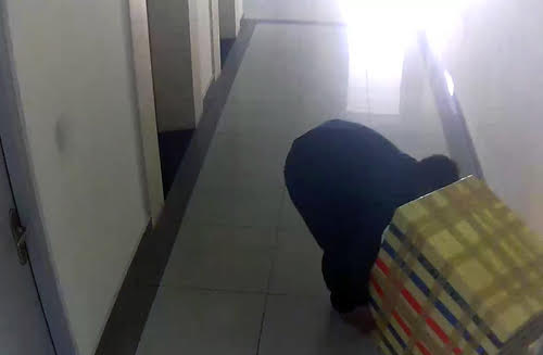 chuan bi xet xu nam sinh sat hai nu sinh bo thung xop