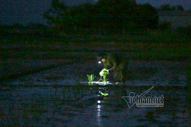 nong nghet tho vo chong lao nong ha noi nua dem roi den di cay