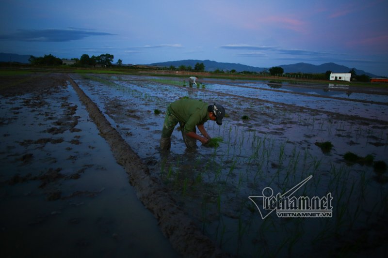 nong nghet tho vo chong lao nong ha noi nua dem roi den di cay