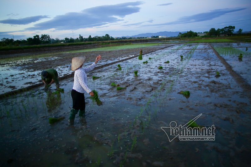 nong nghet tho vo chong lao nong ha noi nua dem roi den di cay