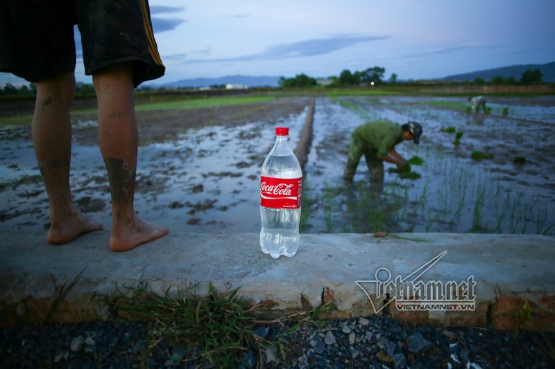 nong nghet tho vo chong lao nong ha noi nua dem roi den di cay