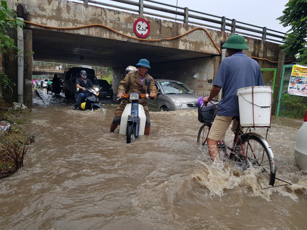 mua lon khien dai lo thang long co doan ngap sau xe sang bmw phai goi cuu ho