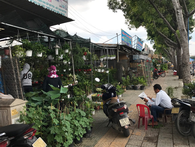 nhieu ki ot quanh san bay tan son nhat xa hang truoc gio giai toa