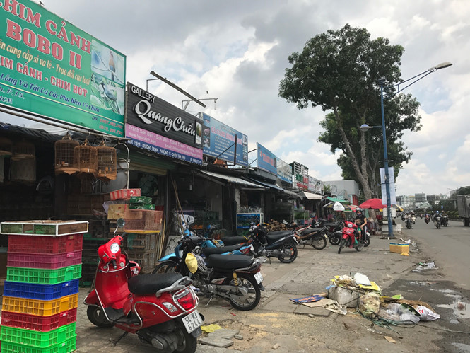 nhieu ki ot quanh san bay tan son nhat xa hang truoc gio giai toa